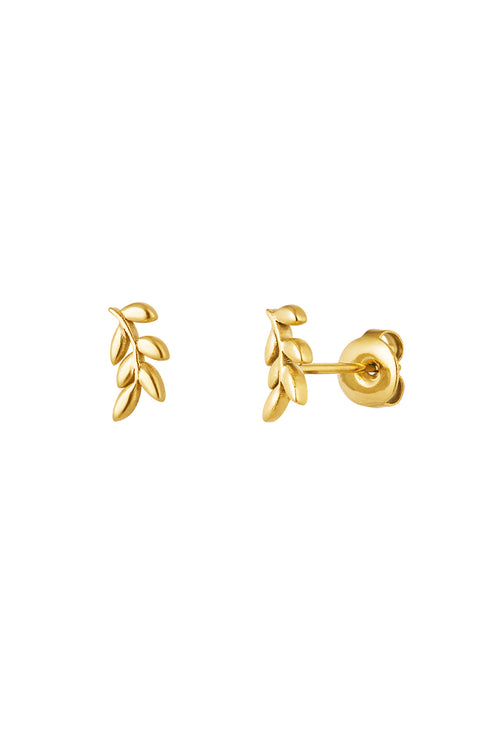 ear studs leaves